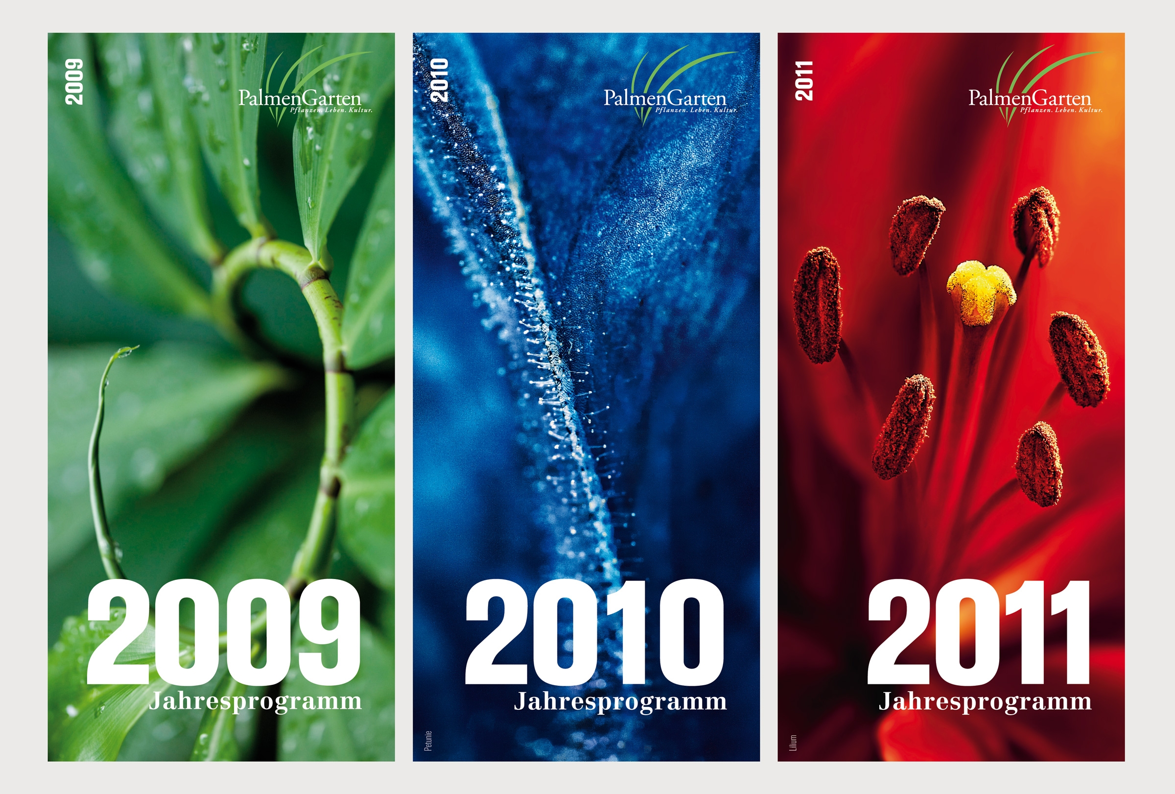 Palmengarten Literaturkonzept Jahresprogramme