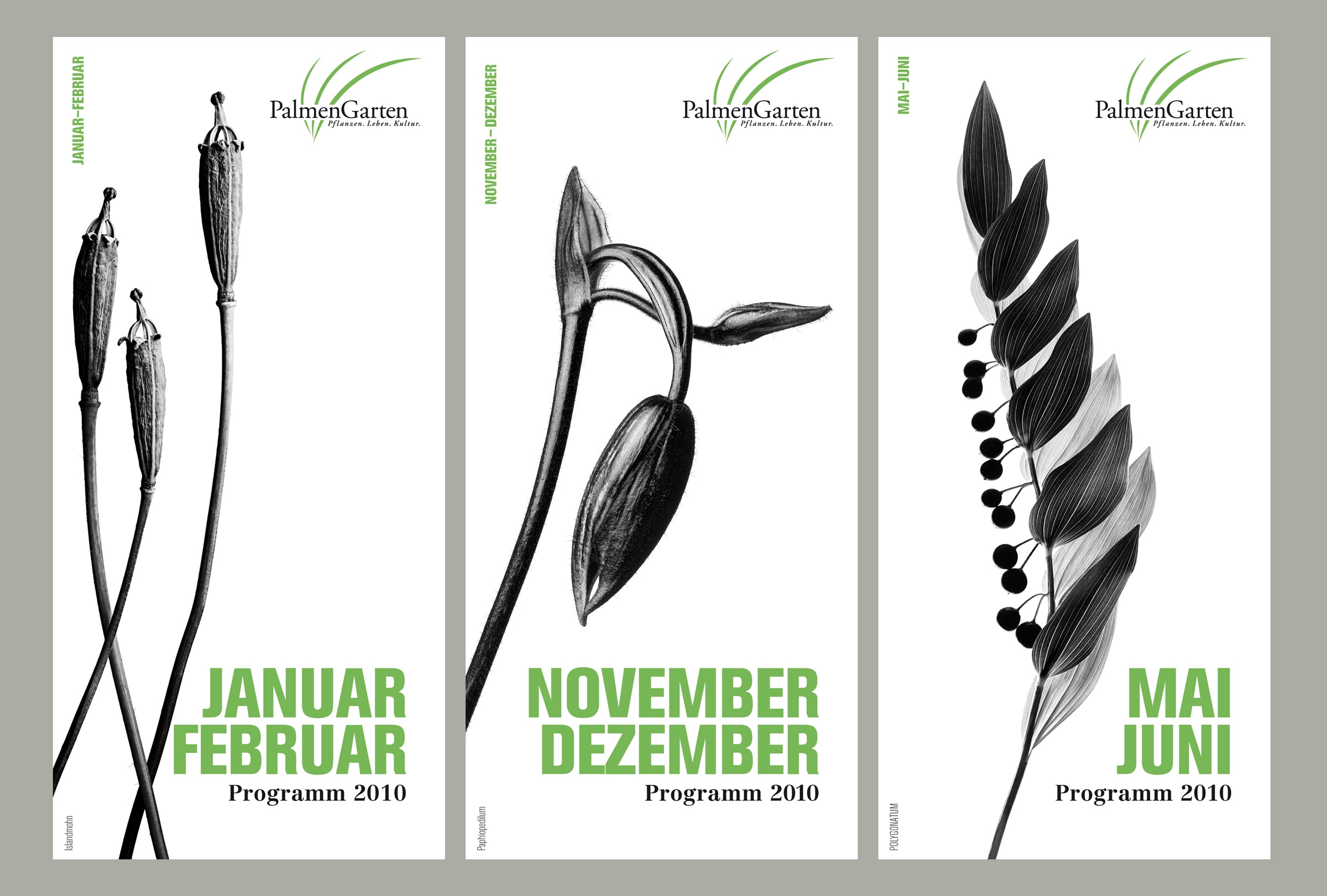 Palmengarten Literaturkonzept Monatsprogramme