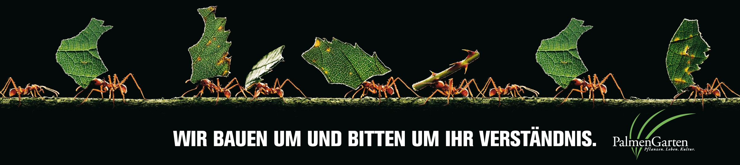 Palmengarten Plakat Umbau