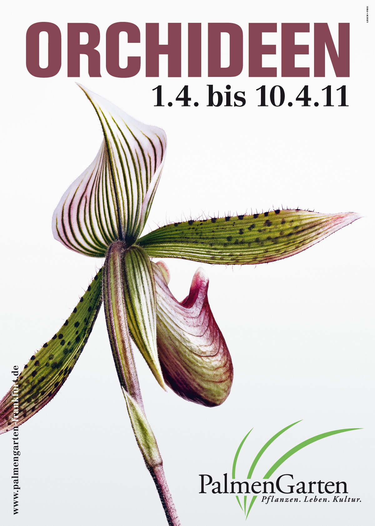 Palmengarten Plakat Orchideen
